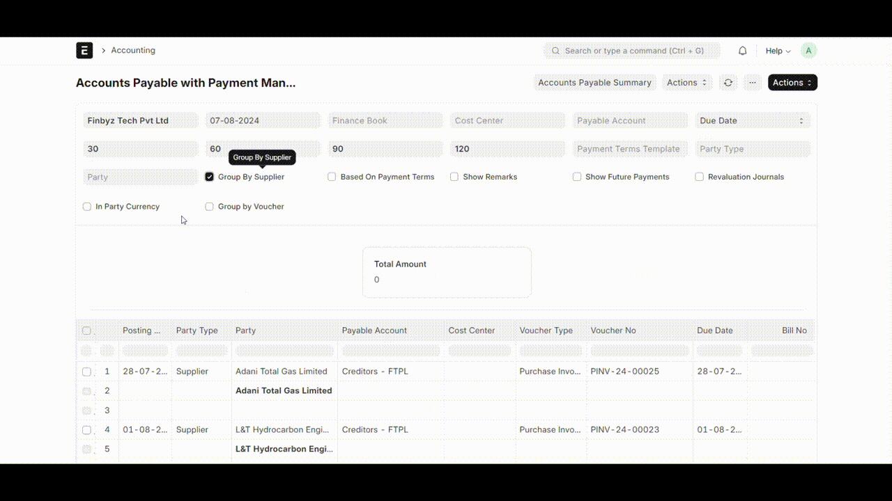 Accounts Payable report with Group By Supplier filter applied, showing data grouped by supplier